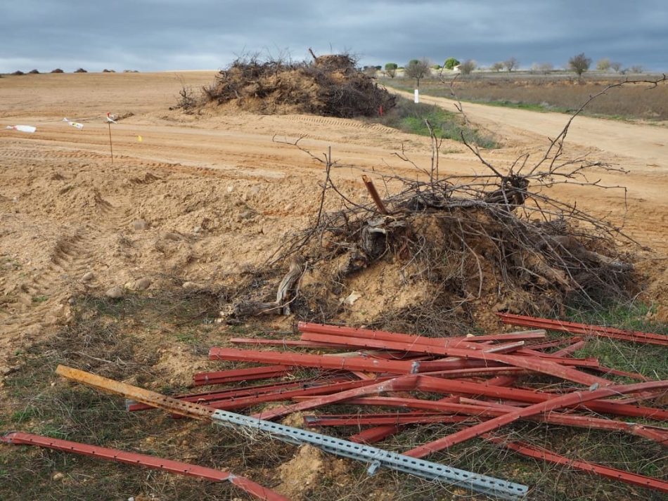 Ecologistas advierten de la amenaza a especies y ecosistemas por la reconversión industrial del suelo rústico en Zamora