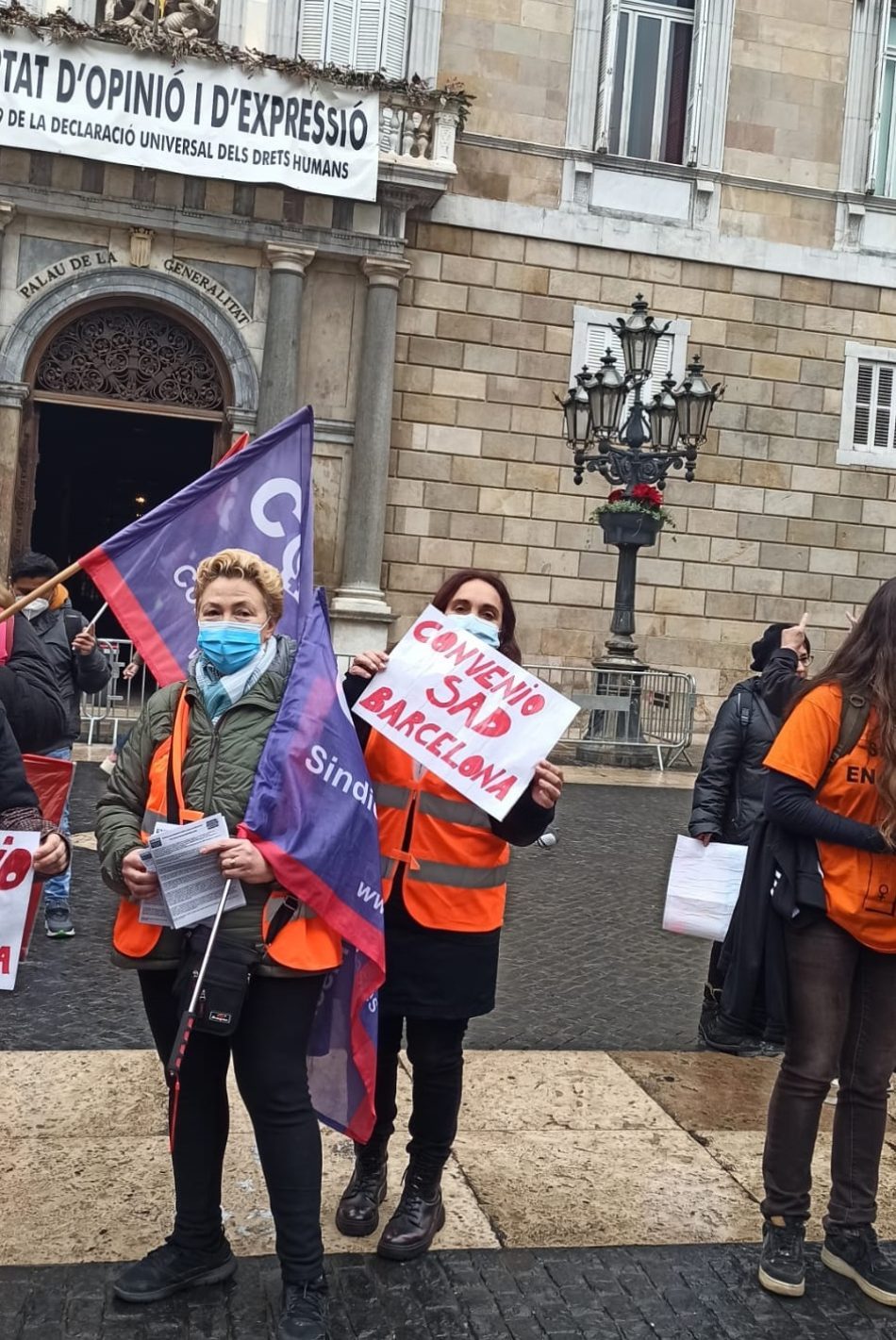 La vaga al SAD continúa tot i la vulneració dels serveis mínims de Suara i Domus VI