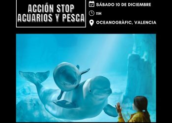 Organizan una protesta frente al oceanográfico en repulsa al cautiverio animal, el sábado 10 de diciembre