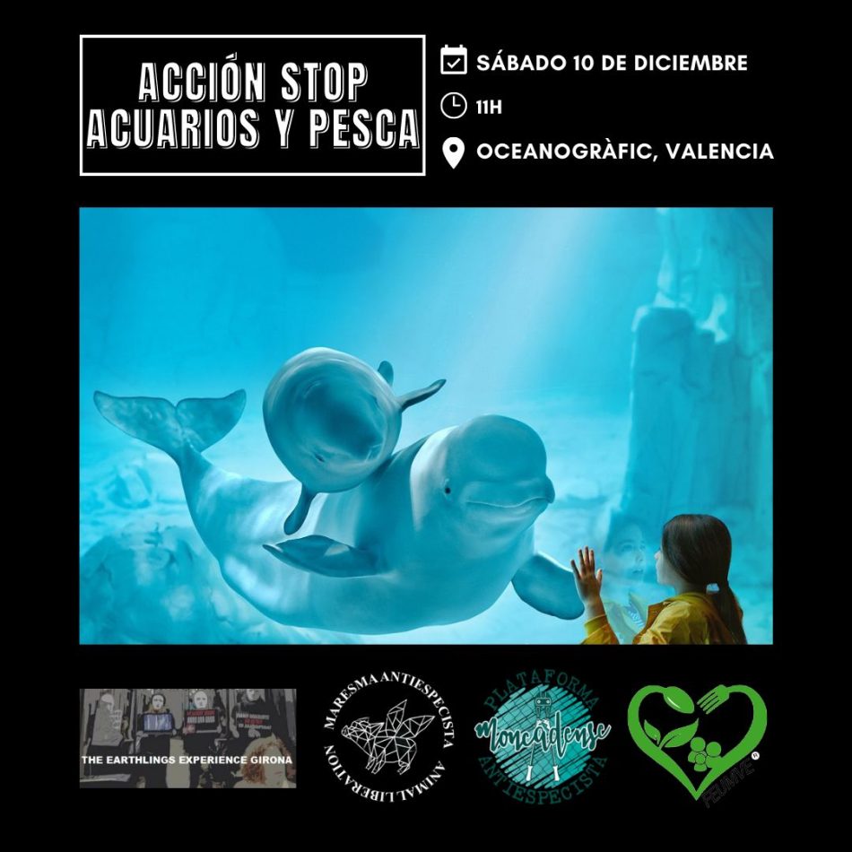 Organizan una protesta frente al oceanográfico en repulsa al cautiverio animal, el sábado 10 de diciembre
