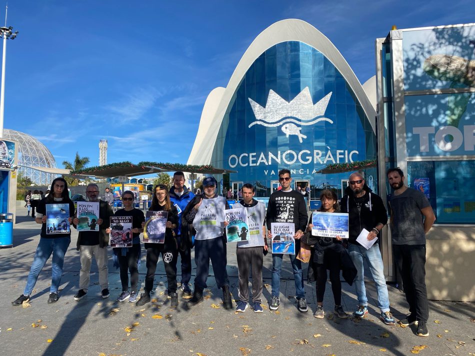 El colectivo de Maresma Antiespecista se concentró frente al oceanográfico en repulsa al cautiverio animal