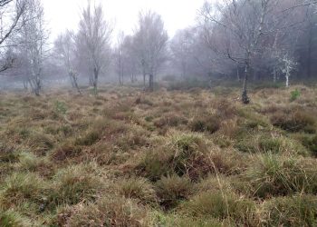 A veciñanza da Limia e de Ourense mobilízase en Xinzo contra a ameaza dos macroeólicos