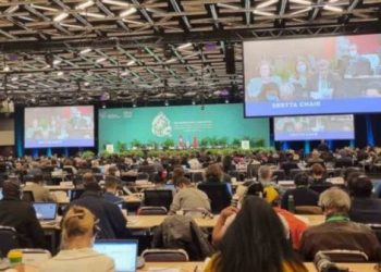 Conferencia de la ONU sobre Biodiversidad busca acuerdos finales