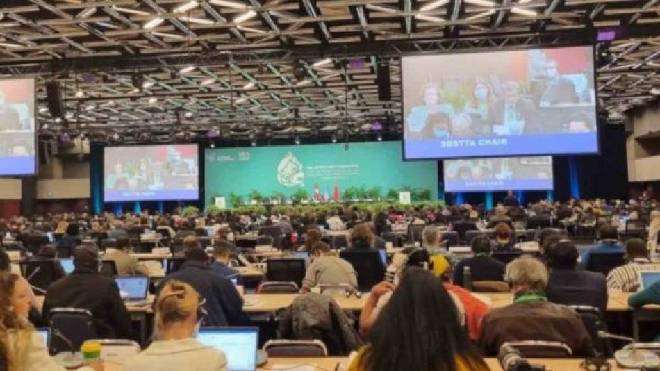 Conferencia de la ONU sobre Biodiversidad busca acuerdos finales