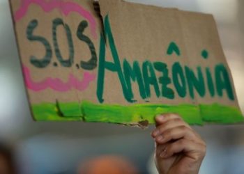 Deforestación de la Amazonía crece 94 % durante Gobierno de Bolsonaro