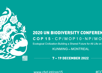 Cumbre de biodiversidad: la hora de detener el camino hacia el colapso de los ecosistemas