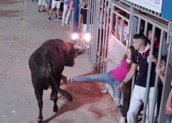 2022, el año más mortal por festejos taurinos de la historia de España