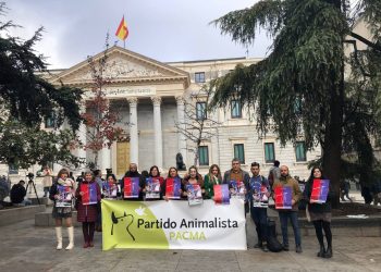 PACMA advierte que recurrirá al Tribunal Constitucional si se aprueba una ley que excluye a los perros de caza