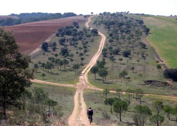 La Junta de Extremadura no cumple su propia legislación en Vías Pecuarias