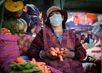 Gobierno de Bolivia invierte Bs 1.317 millones en el fortalecimiento de la seguridad alimentaria 