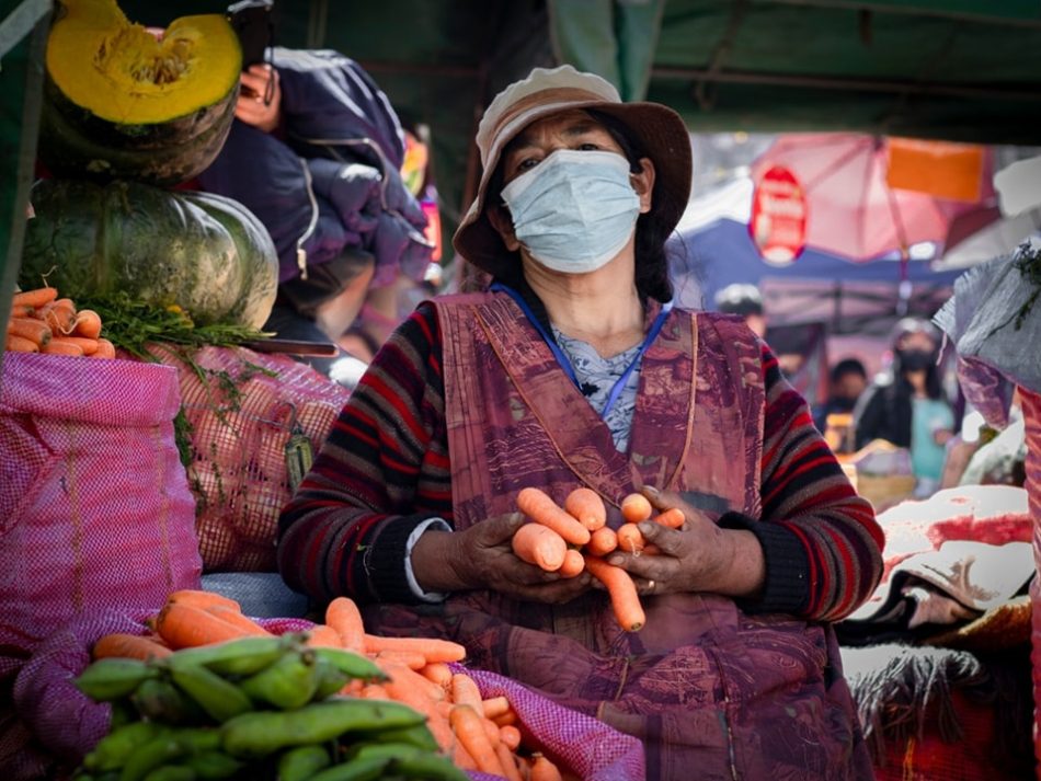 Gobierno de Bolivia invierte Bs 1.317 millones en el fortalecimiento de la seguridad alimentaria 