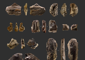 Hallan nueva evidencia de actividad humana prehistórica en suroeste de China