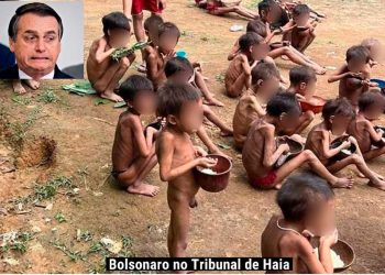 Bolsonaro podría responder en La Haya por genocidio indígena