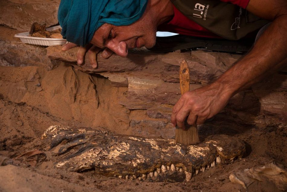 Descubren en Egipto una tumba con diez momias de cocodrilo