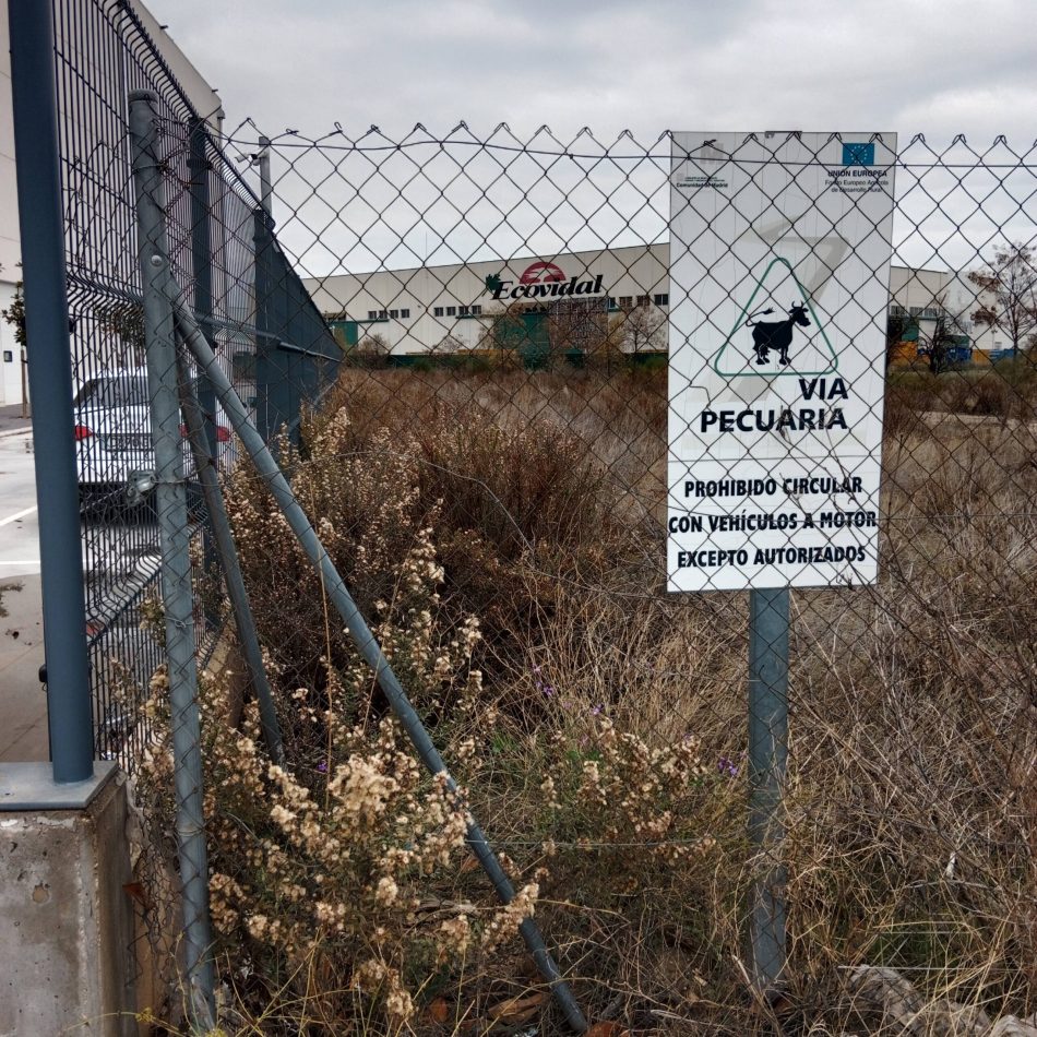 Denuncian el cierre de más de medio kilómetro de una vía pecuaria en Torrejón de Ardoz