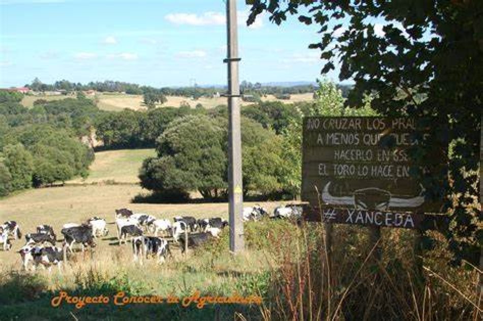 O PP veta a proposta do BNG para non deixar fóra das axudas da PAC as pequenas granxas e produción ecolóxica