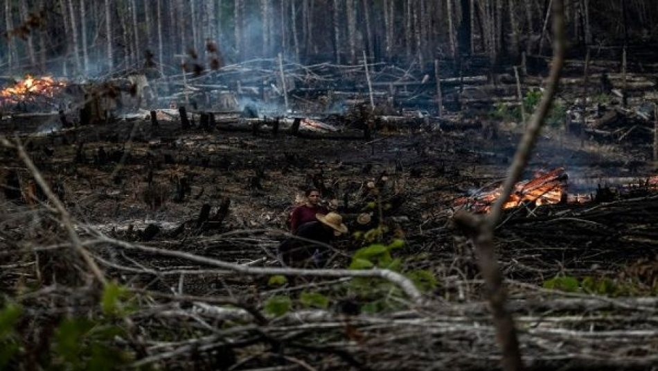 Deforestación en Amazonía brasileña rompe nuevo récord en 2022