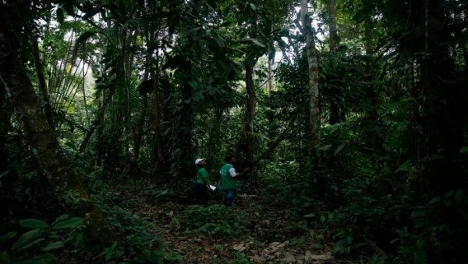 Naciones Unidas advierte sobre grave deforestación en 2022