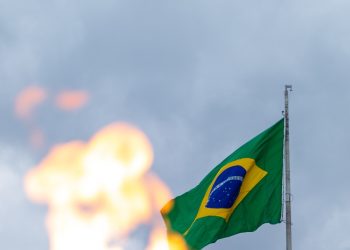 DD.HH. Derechos políticos. Brasil: Ecuanimidad o barbarie