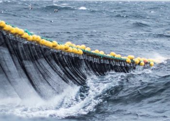Las organizaciones ecologistas alertan de que el Proyecto de Ley de Pesca Sostenible que se discute en el Senado tiene aspectos que vulneran la normativa europea 