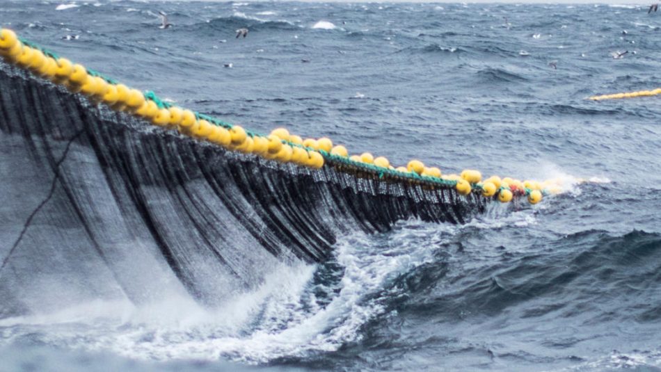 Las organizaciones ecologistas alertan de que el Proyecto de Ley de Pesca Sostenible que se discute en el Senado tiene aspectos que vulneran la normativa europea 