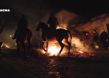 PACMA documenta las Luminarias: caballos doblegados a las brasas del fuego