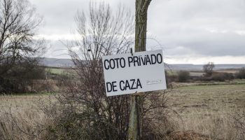 Estas son las millonarias subvenciones públicas a los diez cotos de caza privados más cotizados de España