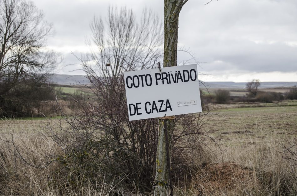 Estas son las millonarias subvenciones públicas a los diez cotos de caza privados más cotizados de España