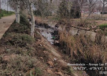 Plataforma denuncia una vez más ante el SEPRONA el calamitoso estado de los arroyos de Almendralejo
