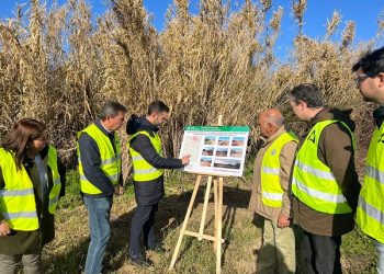 Asedeca denuncia la manipulación del Gobierno Andaluz en materia de vías pecuarias