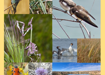 Presentan «Los ecosistemas de Las Lagunas de Ambroz y su entorno. Informe de biodiversidad 2020-2022»