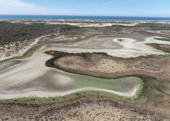 Doñana cerró 2022 con récord de temperatura máxima y escasas precipitaciones