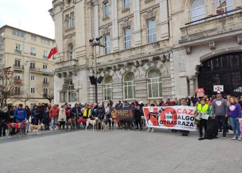 IU CyL pide al PSOE que permita la aprobación de la nueva Ley de Protección animal, retirando la enmienda que excluye a los perros de caza