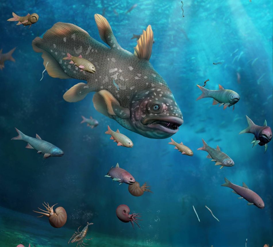 La fauna marina se recuperó un millón de años después de la ‘gran extinción’