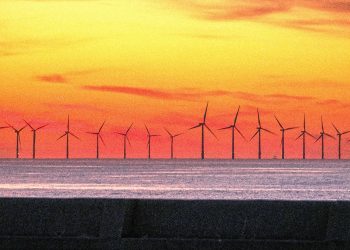 Rechazo tajante de Ecoloxistas en Acción a la eólica marina por suponer un riesgo para la biodiversidad y la pesca sostenible de la que dependen en Galicia miles de familias