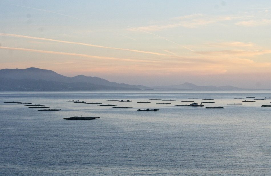 Ecoloxistas en Acción Galiza presenta recurso a la autorización de vertido de la mina de San Finx