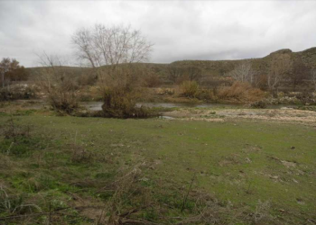Ecologistas en Acción de Getafe presenta un proyecto de renaturalización del río Manzanares a su paso por el municipio