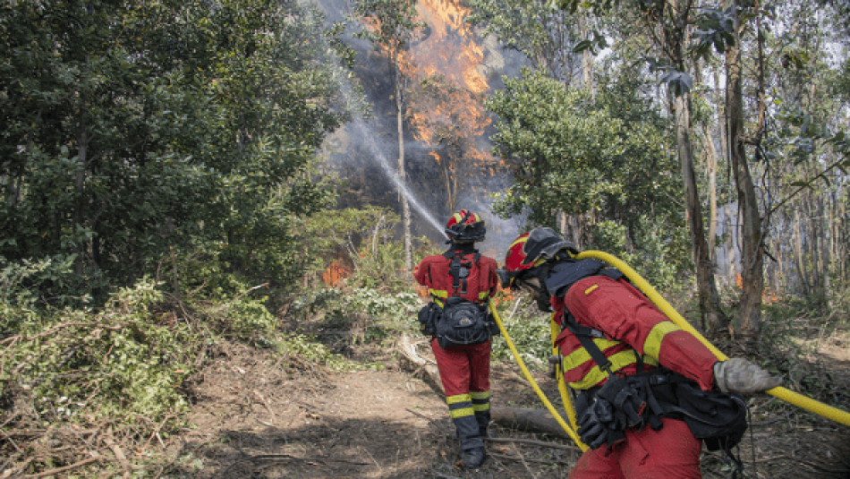 Chile reconoce a Venezuela por apoyo en combate de incendios