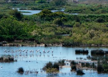 Las organizaciones ambientales reclaman que la reutilización del agua que plantea el MITECO garantizan las funciones ecológicas en ríos y humedales