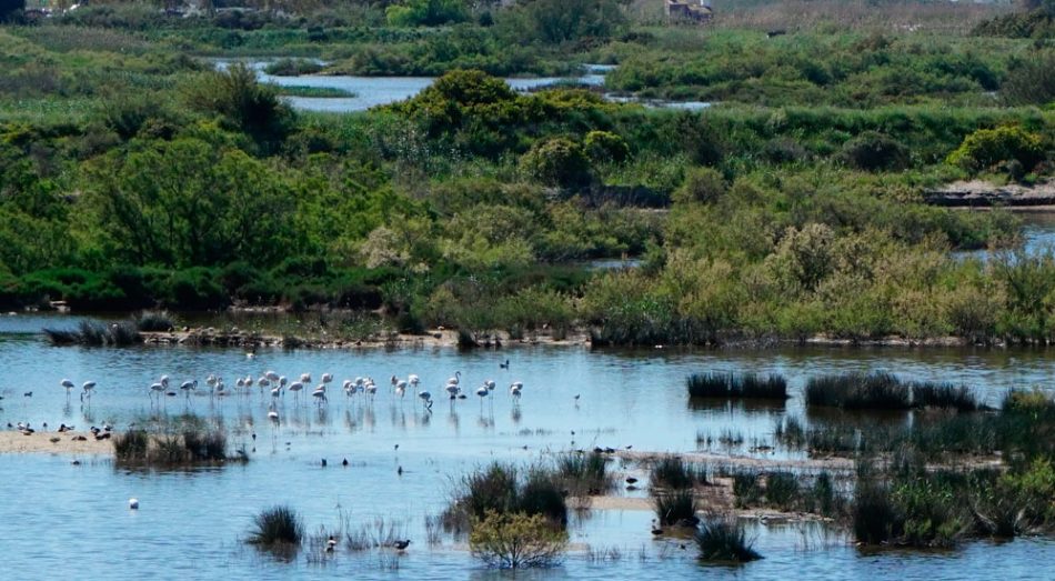 Las organizaciones ambientales reclaman que la reutilización del agua que plantea el MITECO garantizan las funciones ecológicas en ríos y humedales