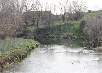 Ecologistas en Acción de Getafe presenta un plan de naturalización y restauración ambiental del río Manzanares a su paso por el municipio