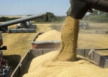 ONU insta a extender acuerdo de exportación de granos ante hambruna