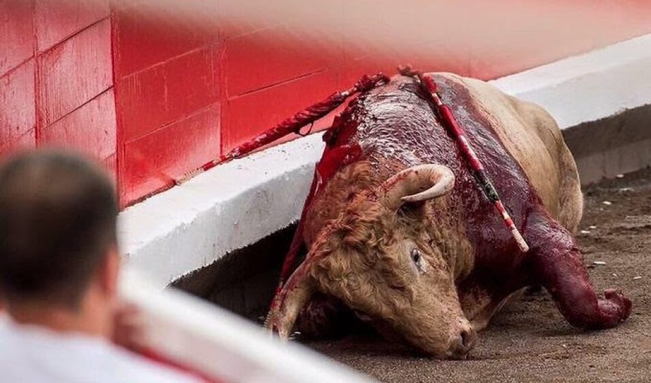 La Plataforma La Tortura No Es Cultura felicita a Movistar por el cierre Canal Toros