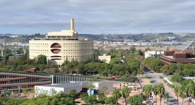 CGT FASE: «La Consejería de Desarrollo Educativo y Formación Profesional no barema la experiencia a funcionarias andaluzas»