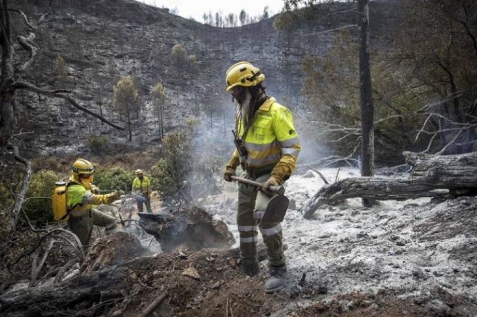 Bomberos Forestales exigen operativo completo durante todo el año