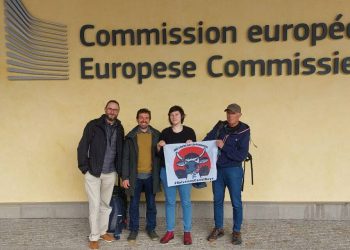 Las principales organizaciones ecologistas se han reunido en Bruselas con eurodiputados para frenar la ampliación de las estaciones de esquí de Aragón