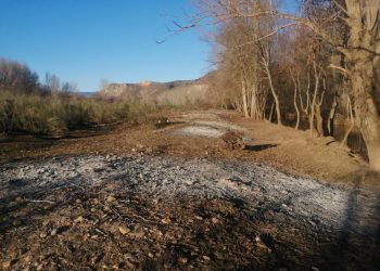 Destruyen uno de los bosques mejor conservados del río Jarama