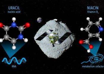 Detectado un precursor de ácido nucleico en el asteroide Ryugu