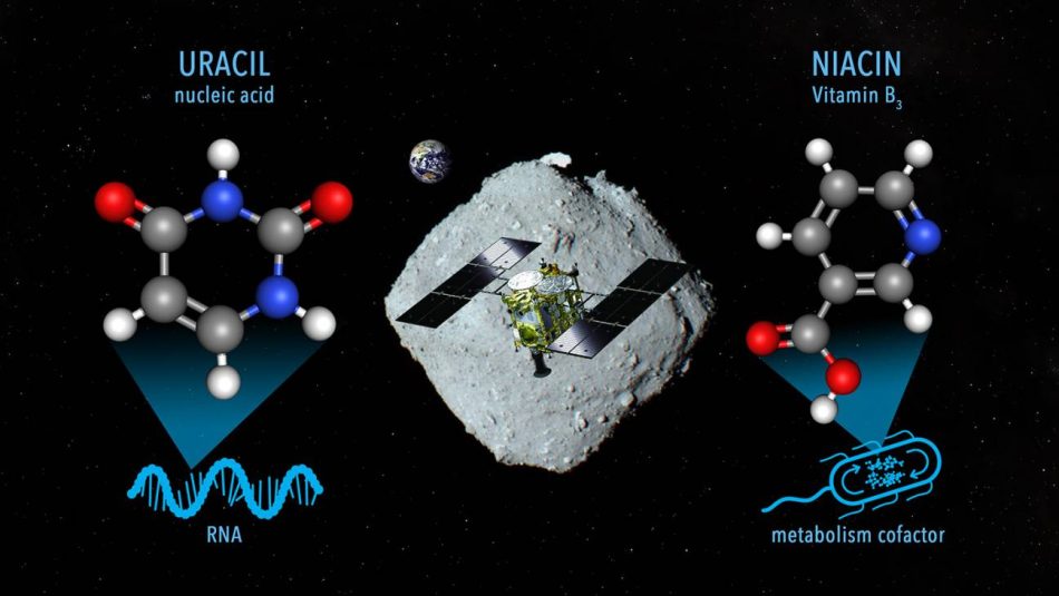 Detectado un precursor de ácido nucleico en el asteroide Ryugu