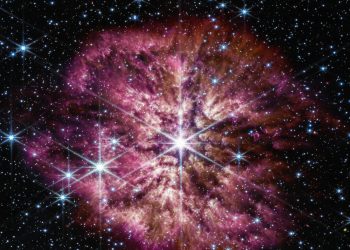 El Webb capta una fase poco común antes de una supernova